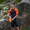 Neopreno Versa Swimrun Hombre